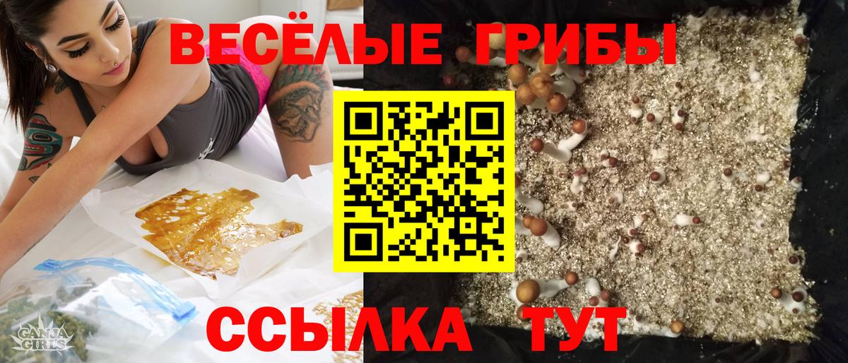 Псилоцибиновые грибы ЛСД  купить наркоту  Челябинск  Вход с VPN  Псилоцибиновые грибы прущие грибы 